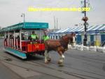 170 TRAMWAY A CHEVAL